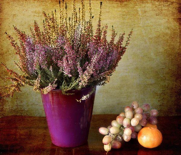 Bodegón: maceta de brezo y frutos otoñales sobre una mesa de madera — Foto de Stock