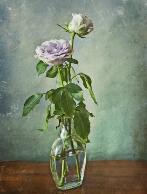 bir cam şişe iki pembe güller