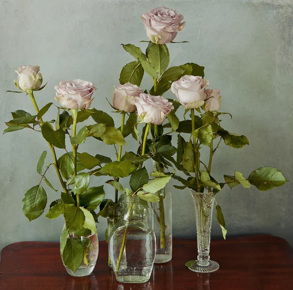 Rosas rosadas en jarrones de vidrio — Foto de Stock