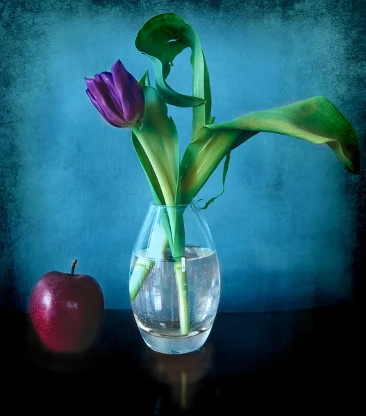 Still life: en lila tulpan i en glasvas, ett rött äpple på en blå konsistens — Stockfoto