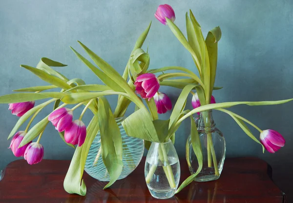 Pink tulips in glass vases — Stock Photo, Image