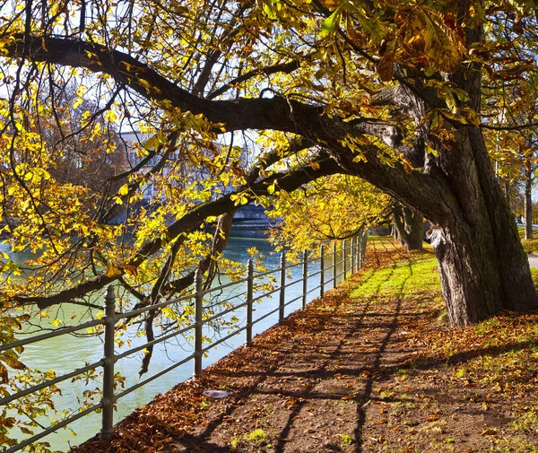 Munique, passeio do rio Isar no centro da cidade na hora do outono — Fotografia de Stock