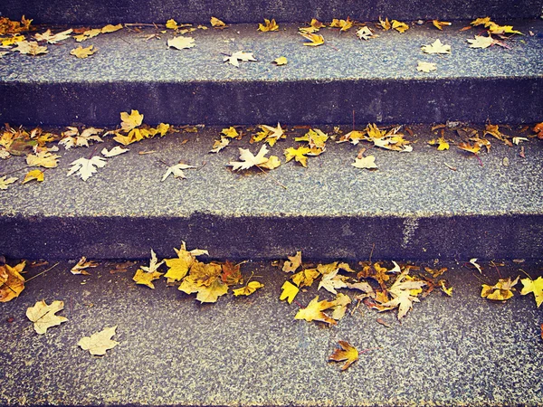 Folhas de bordo amarelas em um degrau de escada no outono — Fotografia de Stock