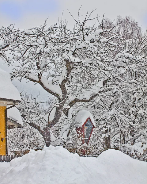 Austria, small red chapel and tree covered by snow — Stock Photo, Image