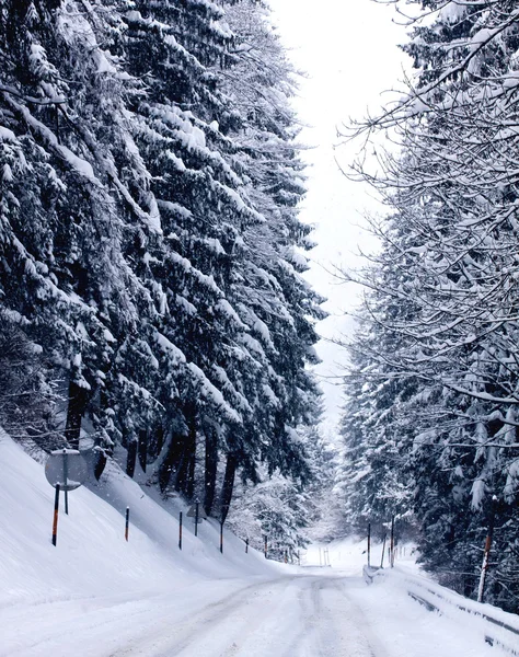 Oostenrijkse winter met sneeuwval op bergweg — Stockfoto