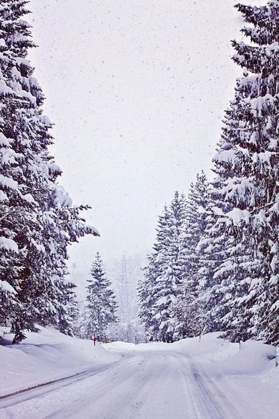 Austrian winter with snowfall on Alpine road — Stock Photo, Image