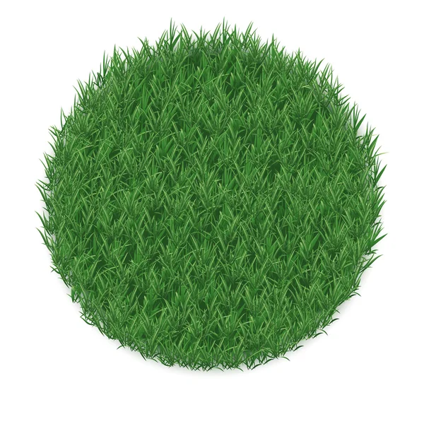 Texture d'herbe en forme de cercle, isolée sur fond blanc . — Image vectorielle