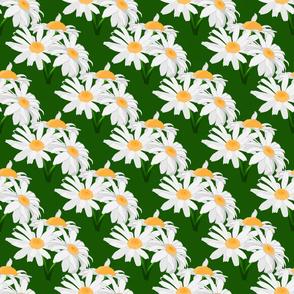 Nahtloses Muster mit Sträußen von Gänseblümchen. Blumensträuße auf grünem Hintergrund. — Stockvektor