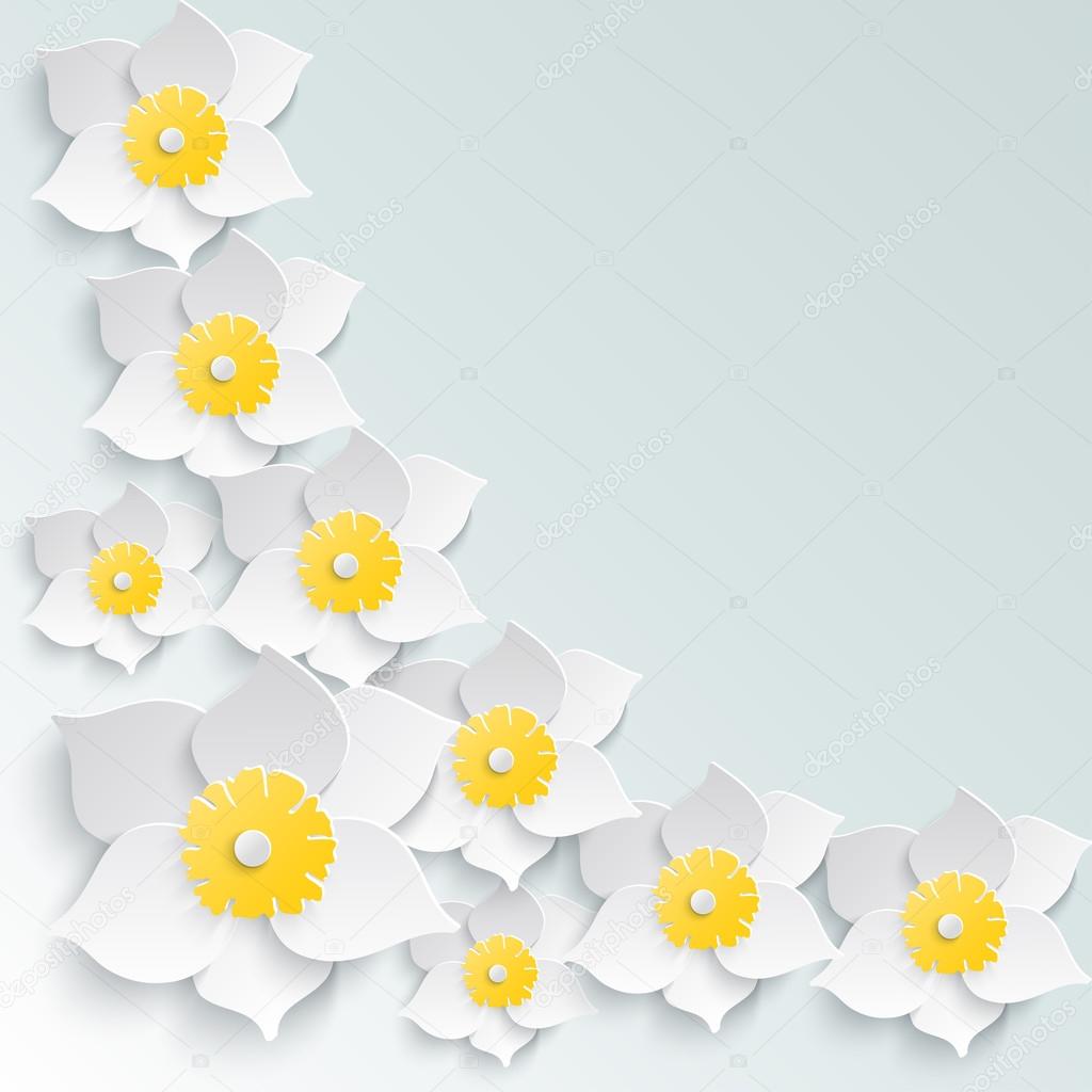 Spring background with white daffodils volume in the corner. Place for your text.