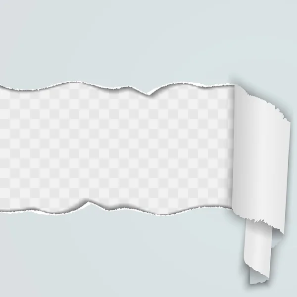 Fond clair avec une bande de papier déchiré . — Image vectorielle
