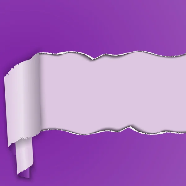 Fond violet avec une bande de papier déchiré, enroulé dans un rouleau . — Image vectorielle