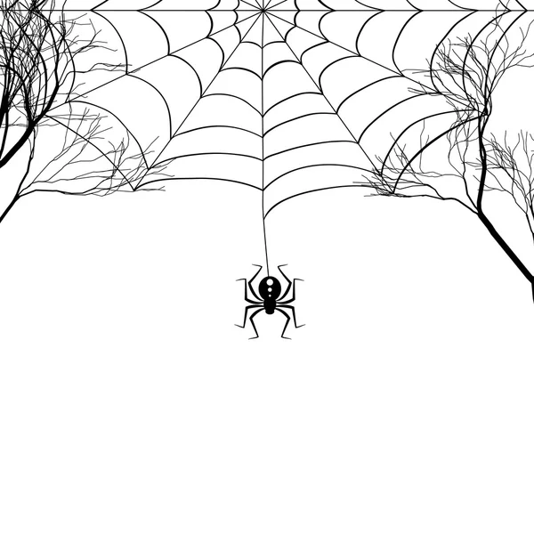 Telaraña entre ramas de árbol y una pequeña araña sobre un fondo blanco . — Vector de stock