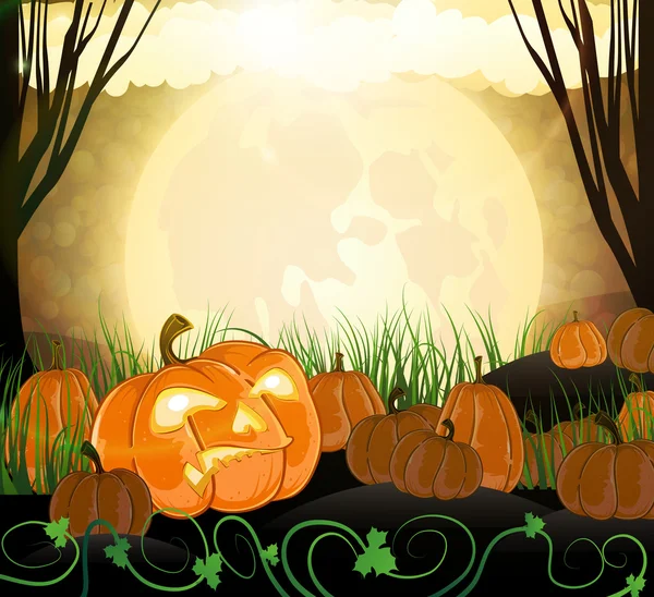 Full moon and pumpkins — Stock Vector