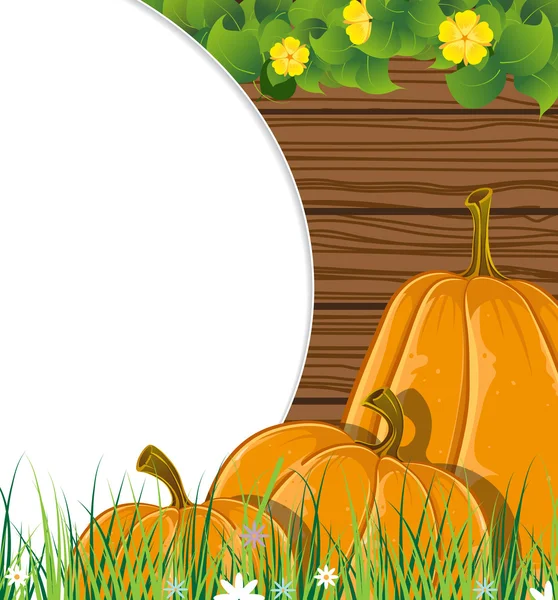 Pumpkins on the wooden background — Stock Vector
