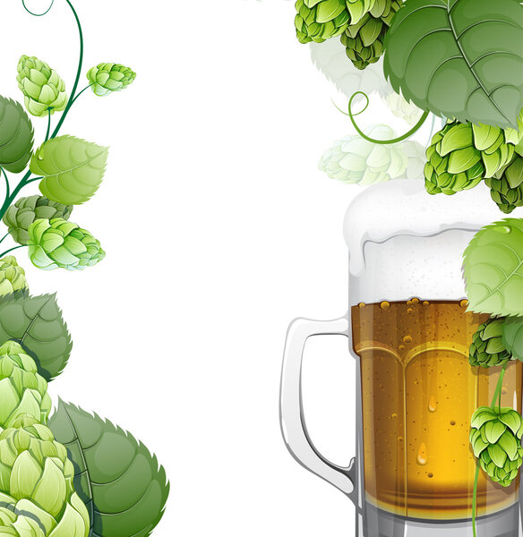 Кружка пива с хмелем на белом
