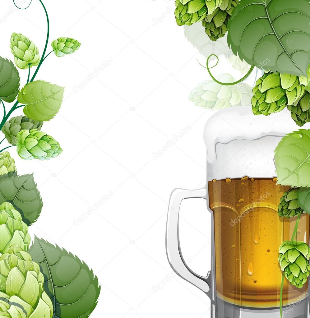 Mug of beer with hops on white