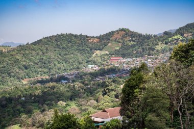 Doi Chang 'deki ormandaki köy, Chiang Rai, Tayland.