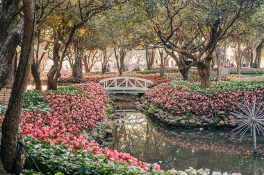 Chiang rai, Tayland - 24 Aralık 2020: Chiang Rai Asean Çiçek Festivali 2020.