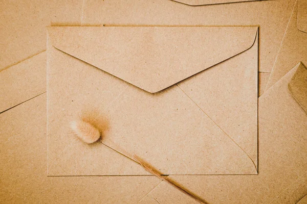 Envelope Papel Marrom Com Cauda Coelho Flor Seca Fechar Envelope — Fotografia de Stock