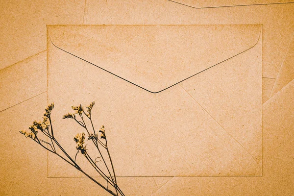 Brown Paper Envelope Limonium Dry Flower Close Craft Envelope Flat — Stock Photo, Image