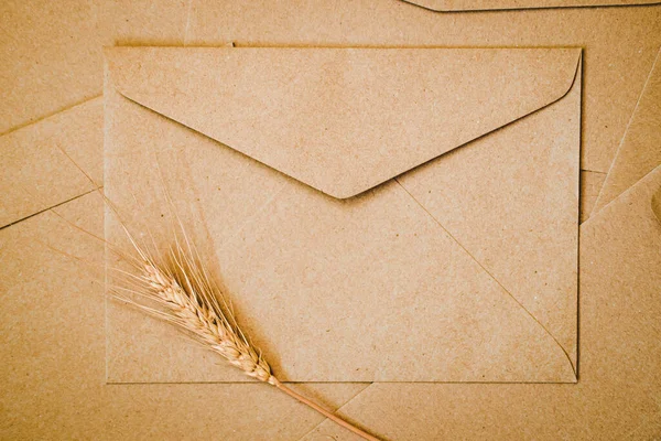 Brown Paper Envelope Barley Dry Flower Close Craft Envelope Flat — Stock Photo, Image