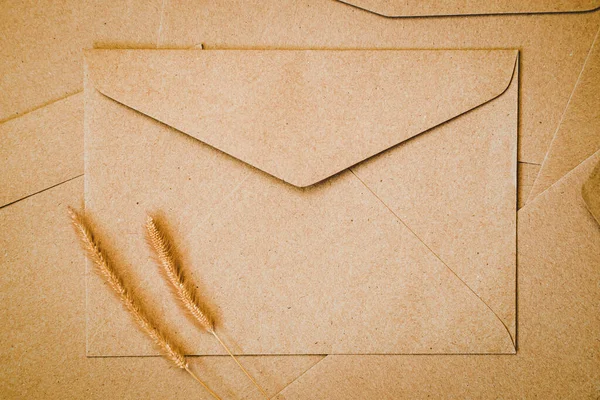 Enveloppe Papier Brun Avec Fleur Sèche Queue Renard Hérissée Gros — Photo