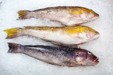 Balık pazarında buzlu deniz ürünleri.