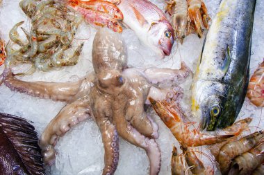 Balık pazarında buzlu deniz ürünleri.