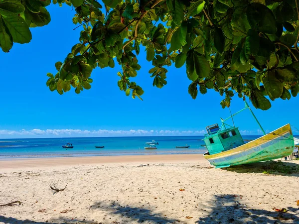 Trancoso Porto Seguro Brazil Önkormányzat Körzete Bahia Állam Partjainál — Stock Fotó