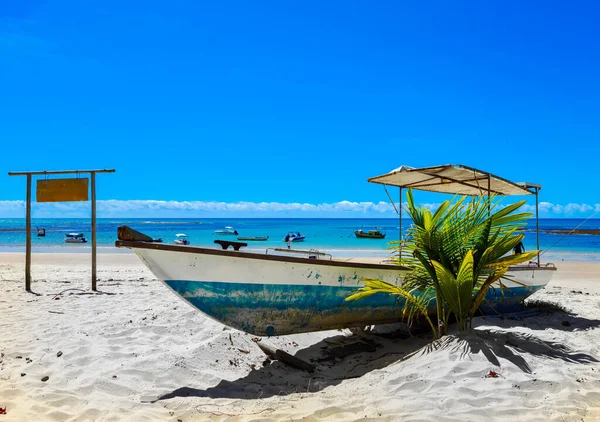 Trancoso Distrito Brasileiro Município Porto Seguro Litoral Estado Bahia — Fotografia de Stock