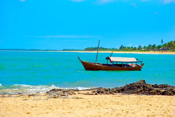 カライバは バイーア州の海岸にあるポルト セグロのブラジルの自治体の地区です — ストック写真