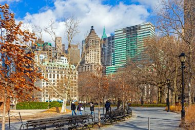 Central Park ve Manhattan silueti, New York