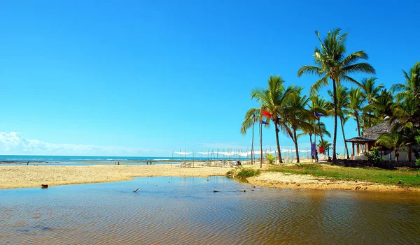 アラリアルダジュダは バイーア州の海岸にあるポルト セグロのブラジルの自治体の地区です — ストック写真