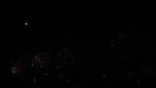 コパカバーナビーチ リオデジャネイロ ブラジルに沿って新年の花火を明らかに — ストック動画