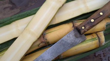 Şeker kamışından elde edilen içecek, cachaca.