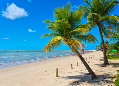 Porto Seguro, Bahia 'daki Coroa Vermelha plajı - Kuzeydoğu Brezilya' daki turizm ve tatil beldeleri - Brezilya için turizm merkezi, seyahat rehberi