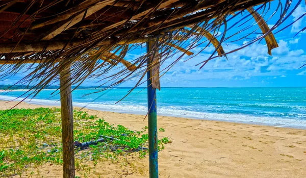 Porto Seguro Bahia Daki Coroa Vermelha Plajı Kuzeydoğu Brezilya Daki — Stok fotoğraf