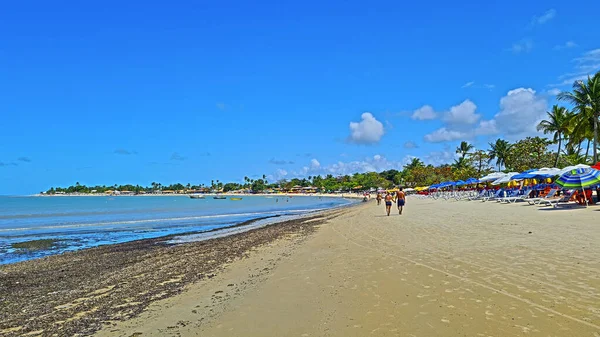 Porto Seguro Bahia Daki Coroa Vermelha Plajı Kuzeydoğu Brezilya Daki — Stok fotoğraf