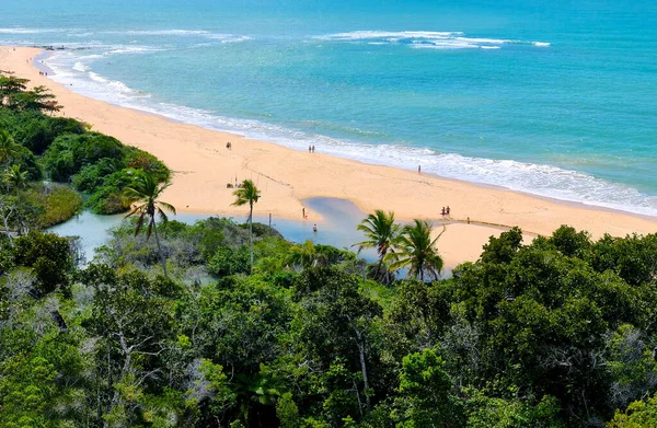アラリアルダジュダは バイーア州の海岸にあるポルト セグロのブラジルの自治体の地区です — ストック写真