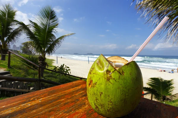 Noix de coco sur fond de plage d'été — Photo