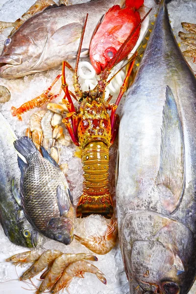 Raw seafood on ice — Stock Photo, Image
