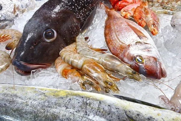 Pescado sobre hielo almacenado — Foto de Stock