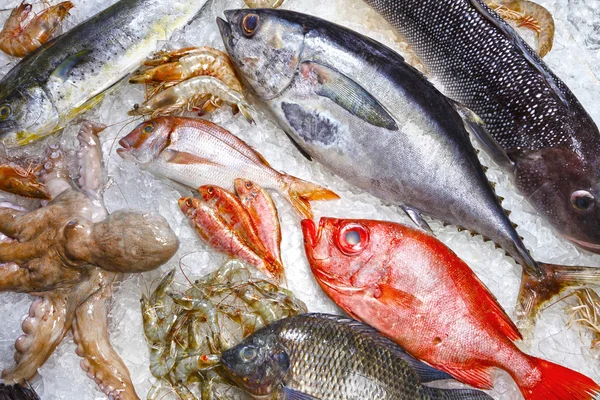 Fish on ice in store — Stock Photo, Image