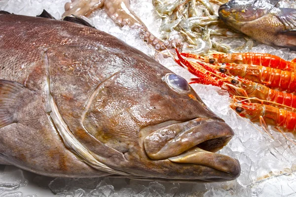 Raw fishmonger on ice — Stock Photo, Image