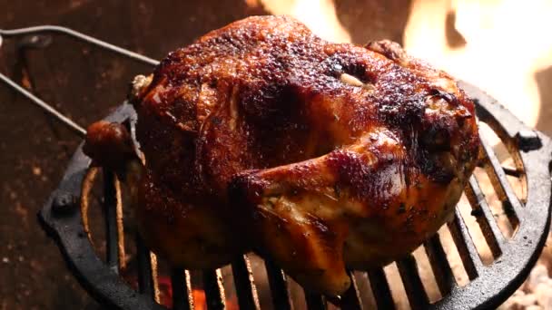 Pollo arrosto e fuoco — Video Stock