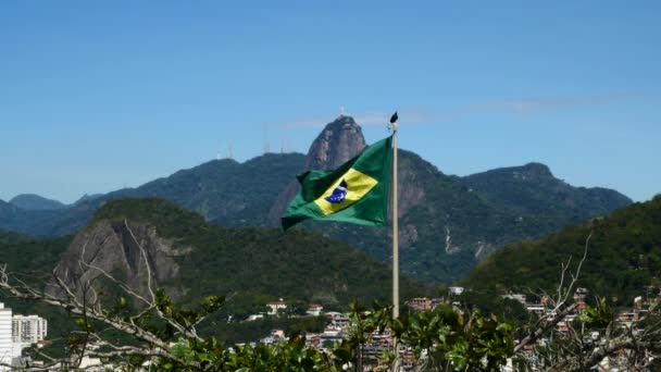 Ondeando bandera brasileña — Vídeos de Stock