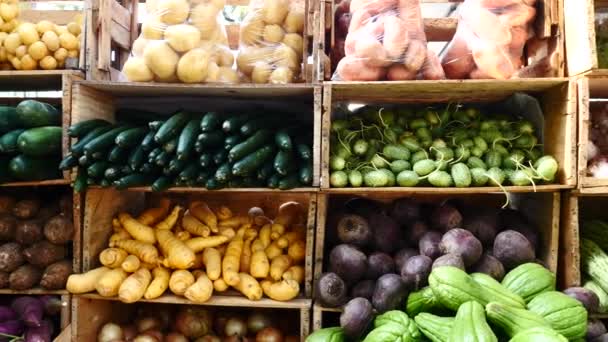 Legumes frescos na feira — Vídeo de Stock