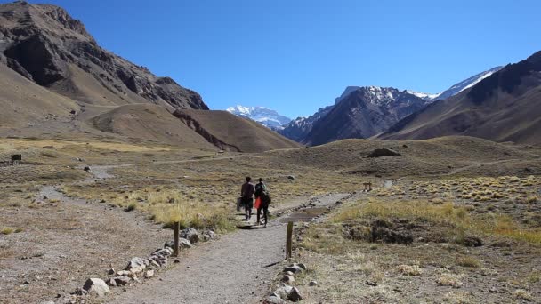 Vista de la cara Sur del Aconcagua — Vídeo de stock