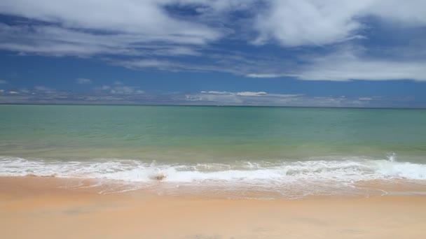 Ipanema 해변, 리오 데 자네이 — 비디오
