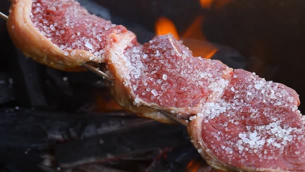 Churrasco acabado de fazer — Vídeo de Stock